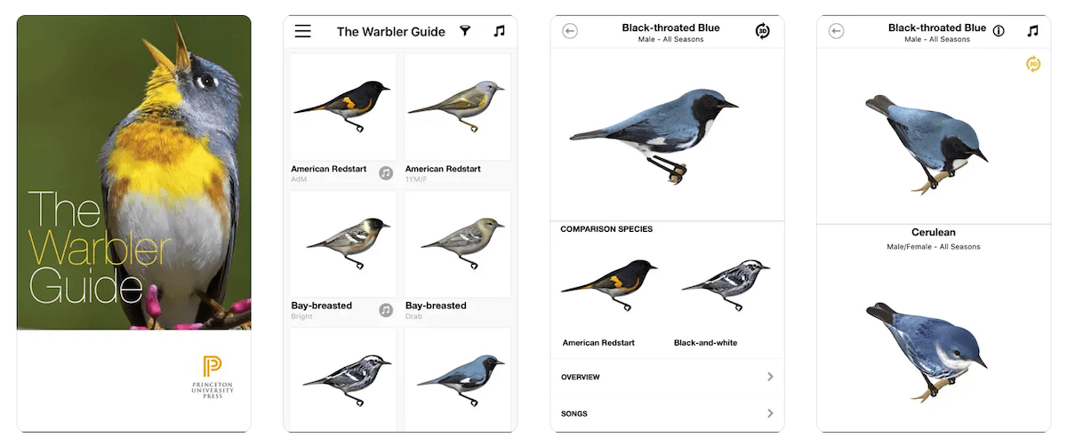 warbler guide bird identification app